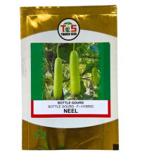 BottleGourd / Lauki Neel